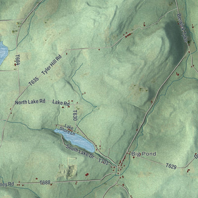 Second close-up of the map of Springfield, Bradford County, Pennsylvania print showing more streets and buildings