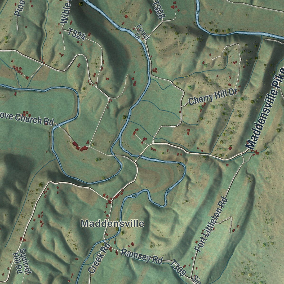 Close-up of the map of Springfield, Huntingdon County, Pennsylvania print showing street and building detail