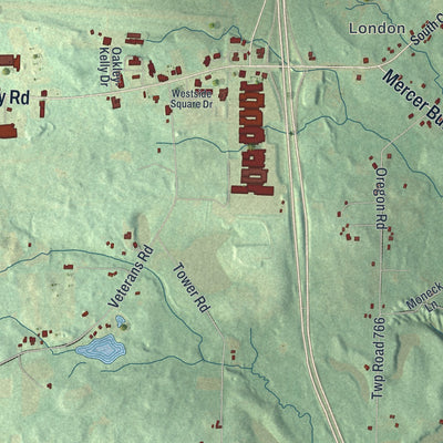 Close-up of the map of Springfield, Mercer County, Pennsylvania print showing street and building detail