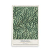 Map of Springhill, Greene County, Pennsylvania, 12 x 18 inch unframed archival matte print