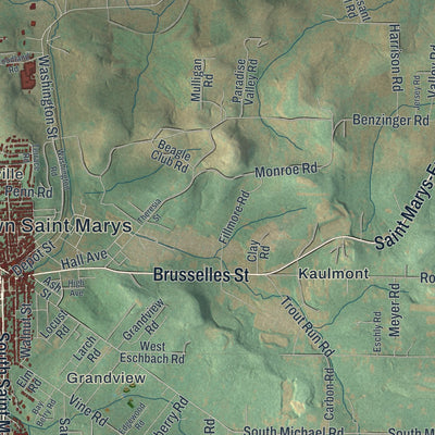 Close-up of the map of St. Marys, Pennsylvania print showing street and building detail