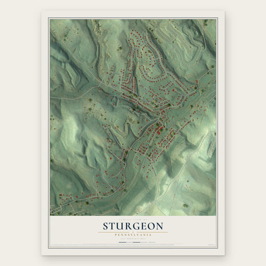 Sturgeon, Pennsylvania map print, the full design