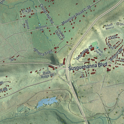 Close-up of the map of Sugarloaf, Luzerne County, Pennsylvania print showing street and building detail