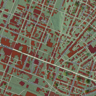 Close-up of the map of Sunbury, Pennsylvania print showing street and building detail