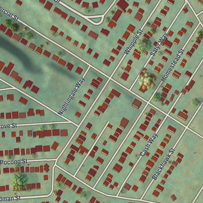 Close-up of the map of Swisshelm Park, Pennsylvania print showing street and building detail