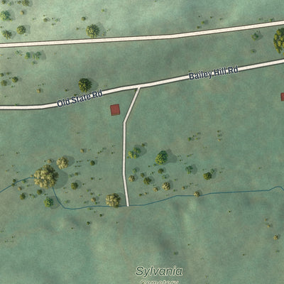 Close-up of the map of Sylvania, Bradford County, Pennsylvania print showing street and building detail