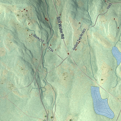 Second close-up of the map of Thompson, Susquehanna County, Pennsylvania print showing more streets and buildings