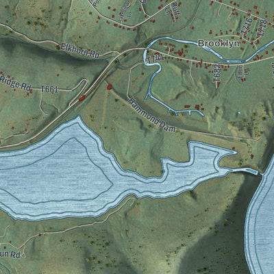 Close-up of the map of Tioga, Tioga County, Pennsylvania print showing street and building detail