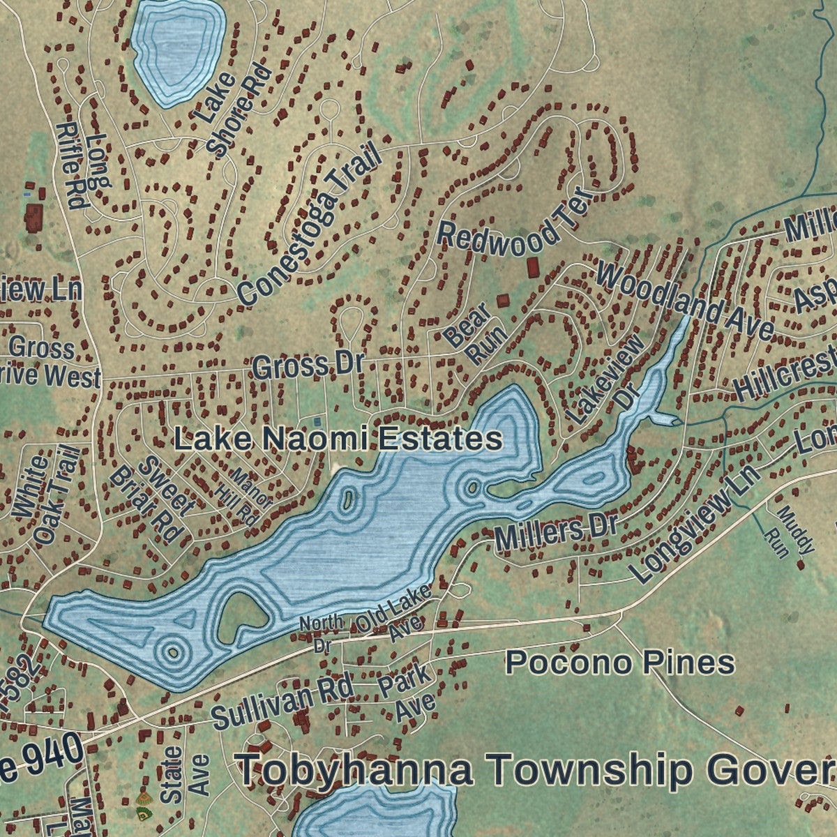 Close-up of the map of Tobyhanna, Pennsylvania print showing street and building detail