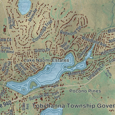 Close-up of the map of Tobyhanna, Pennsylvania print showing street and building detail