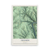 Map of Triumph, Pennsylvania, 12 x 18 inch unframed archival matte print