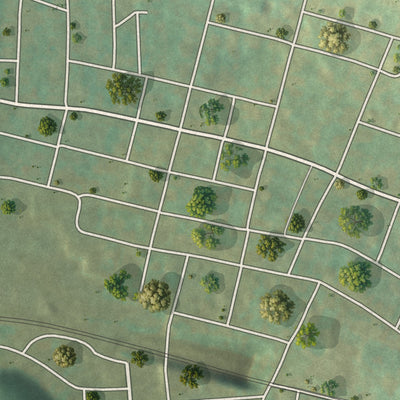 Close-up of the map of Tunnelhill, Pennsylvania print showing street and building detail