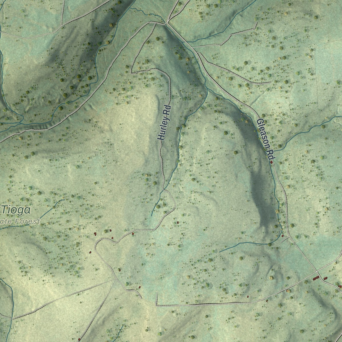 Close-up of the map of Union, Tioga County, Pennsylvania print showing street and building detail