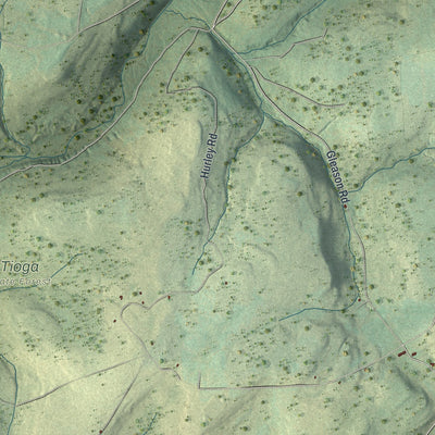 Close-up of the map of Union, Tioga County, Pennsylvania print showing street and building detail