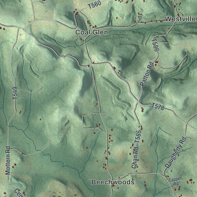 Close-up of the map of Washington, Jefferson County, Pennsylvania print showing street and building detail