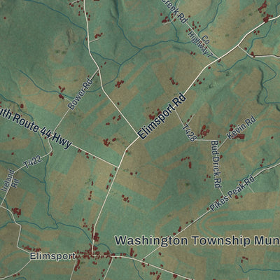 Close-up of the map of Washington, Lycoming County, Pennsylvania print showing street and building detail