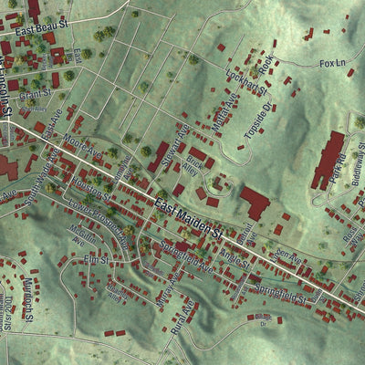 Second close-up of the map of Washington, Washington County, Pennsylvania print showing more streets and buildings