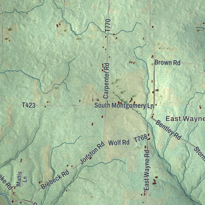 Second close-up of the map of Wayne, Crawford County, Pennsylvania print showing more streets and buildings