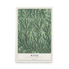 Map of Wayne, Greene County, Pennsylvania, 12 x 18 inch unframed archival matte print