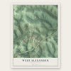 West Alexander, Pennsylvania map print, the full design