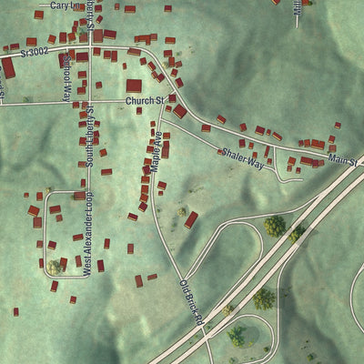 Close-up of the map of West Alexander, Pennsylvania print showing street and building detail