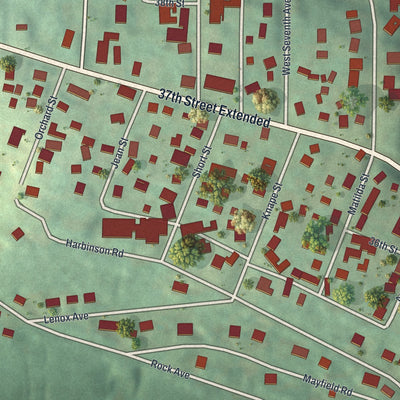 Close-up of the map of West Mayfield, Pennsylvania print showing street and building detail