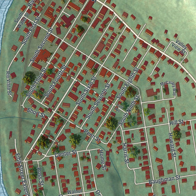 Close-up of the map of West Newton, Pennsylvania print showing street and building detail