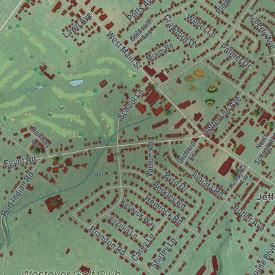 Close-up of the map of West Norriton, Pennsylvania print showing street and building detail