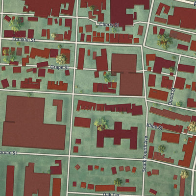 Close-up of the map of West Reading, Pennsylvania print showing street and building detail