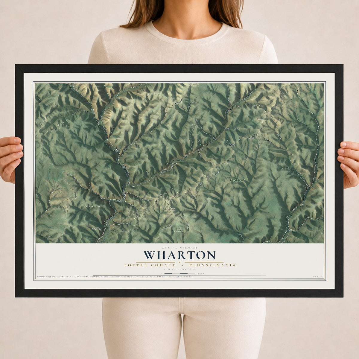 Map of Wharton, Potter County, Pennsylvania, 18 x 24 inch print in a black wood frame