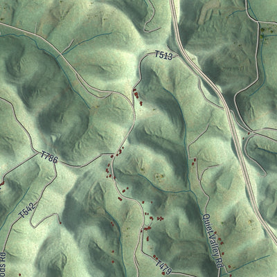 Close-up of the map of Whiteley, Pennsylvania print showing street and building detail
