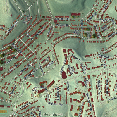 Close-up of the map of Wilkinsburg, Pennsylvania print showing street and building detail