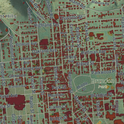 Close-up of the map of Williamsport, Pennsylvania print showing street and building detail
