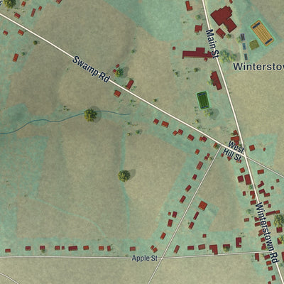 Close-up of the map of Winterstown, Pennsylvania print showing street and building detail