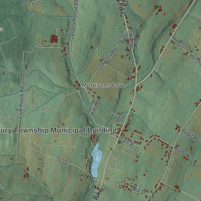 Close-up of the map of Woodbury, Bedford County, Pennsylvania print showing street and building detail