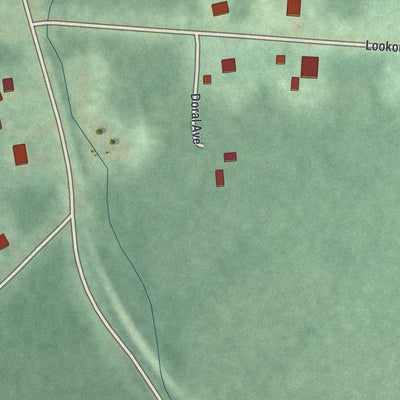 Close-up of the map of Wopsononock, Pennsylvania print showing street and building detail