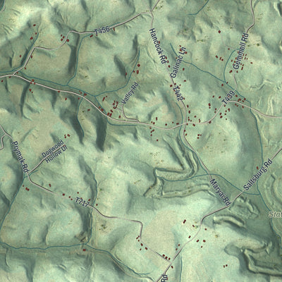 Close-up of the map of Young, Indiana County, Pennsylvania print showing street and building detail