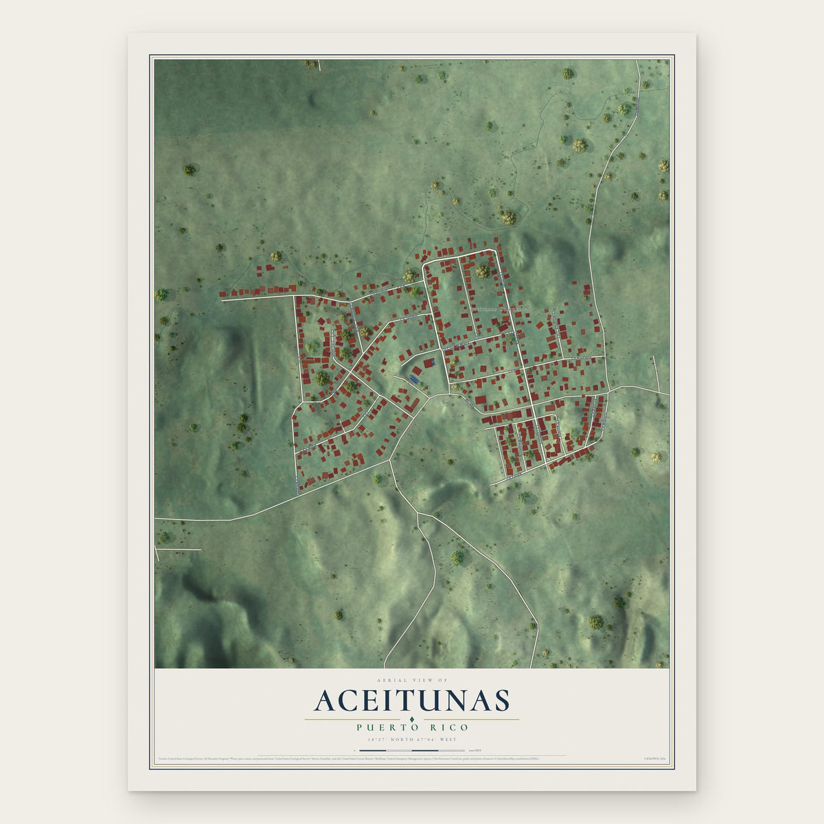 Aceitunas, Puerto Rico map print, the full design