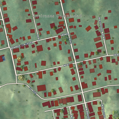Close-up of the map of Aceitunas, Puerto Rico print showing street and building detail
