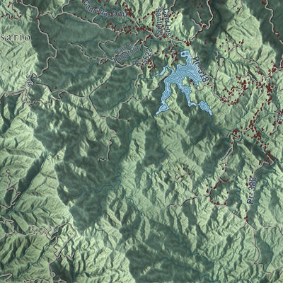Close-up of the map of Adjuntas, Puerto Rico print showing street and building detail