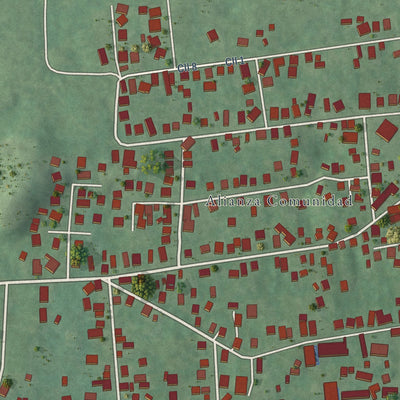 Close-up of the map of Alianza, Puerto Rico print showing street and building detail