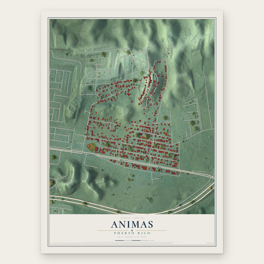 Animas, Puerto Rico map print, the full design