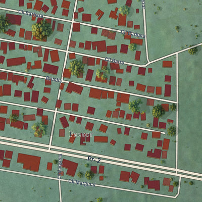 Close-up of the map of Animas, Puerto Rico print showing street and building detail