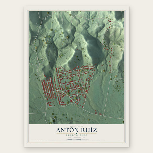 Antón Ruíz, Puerto Rico map print, the full design
