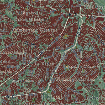 Close-up of the map of Bayamón, Puerto Rico print showing street and building detail