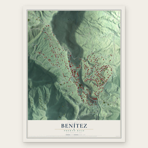 Benítez, Puerto Rico map print, the full design