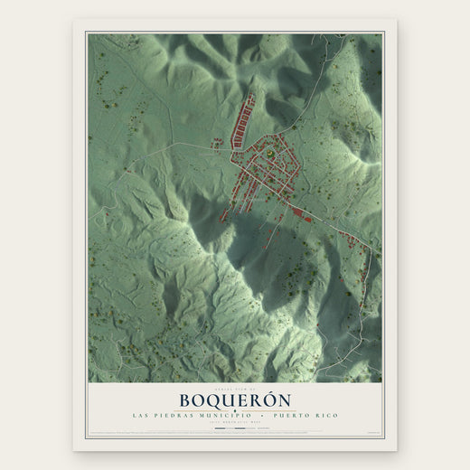 Boquerón, Las Piedras Municipio, Puerto Rico map print, the full design