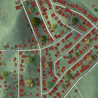 Close-up of the map of Buena Vista, Arroyo Municipio, Puerto Rico print showing street and building detail