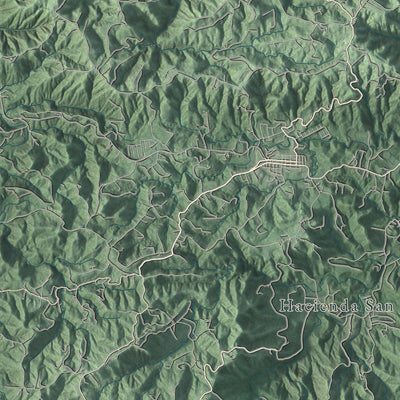 Close-up of the map of Caguas, Puerto Rico print showing street and building detail