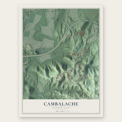 Cambalache, Puerto Rico map print, the full design